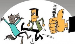 正当防卫新闻爆料案件,正当防卫案件背后的真相与反思