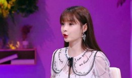 沈梦辰海涛最新爆料,揭秘娱乐圈背后的惊人真相